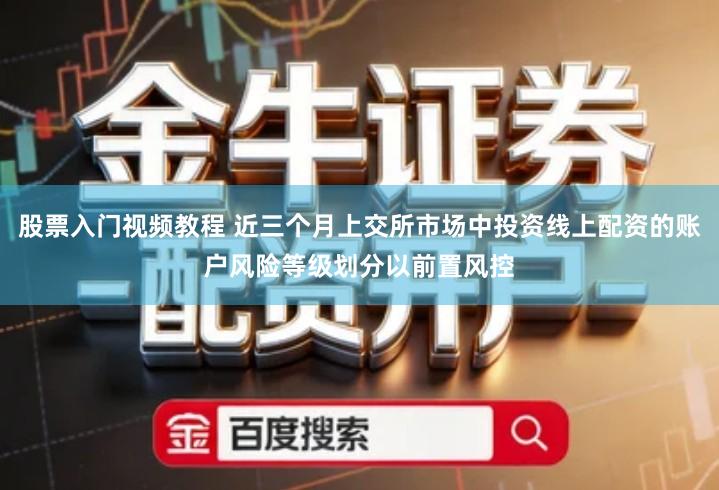 股票入门视频教程 近三个月上交所市场中投资线上配资的账户风险等级划分以前置风控