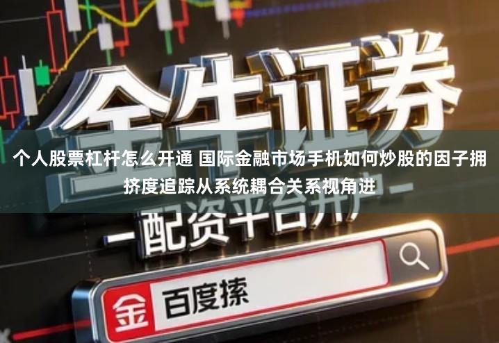 个人股票杠杆怎么开通 国际金融市场手机如何炒股的因子拥挤度追踪从系统耦合关系视角进